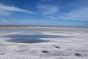 Totes-Meer Salz aus Israel